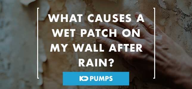 Wet Patch on Wall After Rain